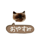 ひまちゃんの相槌（個別スタンプ：1）