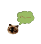 ひまちゃんの相槌（個別スタンプ：3）