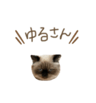 ひまちゃんの相槌（個別スタンプ：7）