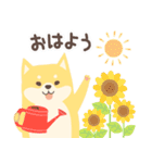 北欧柴犬の日常11 mush（個別スタンプ：1）