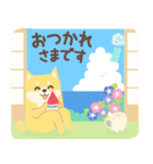 北欧柴犬の日常11 mush（個別スタンプ：9）