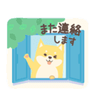 北欧柴犬の日常11 mush（個別スタンプ：24）