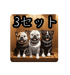 ととのうブルドッグ「サウナ犬ととブル」（個別スタンプ：25）