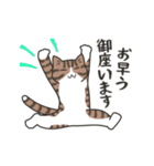 40匹のねこの、みんなでおカタい敬語！（個別スタンプ：13）