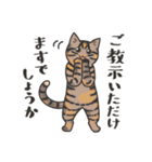 40匹のねこの、みんなでおカタい敬語！（個別スタンプ：19）