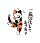 40匹のねこの、みんなでおカタい敬語！（個別スタンプ：23）