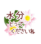 【夏】やさしい敬語＊花いっぱい気遣い長文（個別スタンプ：9）