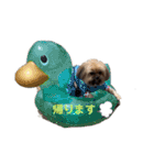 イウォーク犬アグと妹ルブ（個別スタンプ：3）