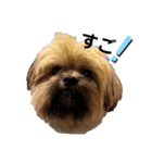 イウォーク犬アグと妹ルブ（個別スタンプ：19）