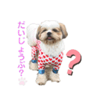 イウォーク犬アグと妹ルブ（個別スタンプ：20）
