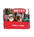 イウォーク犬アグと妹ルブ（個別スタンプ：22）