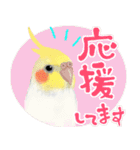 【オカメインコ】動く！ペットたち（個別スタンプ：1）