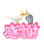 【オカメインコ】動く！ペットたち（個別スタンプ：10）