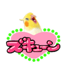 【オカメインコ】動く！ペットたち（個別スタンプ：12）