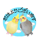 【オカメインコ】動く！ペットたち（個別スタンプ：15）