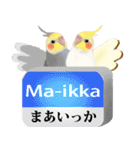 【オカメインコ】動く！ペットたち（個別スタンプ：22）