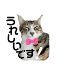 わたしの名前はトト（個別スタンプ：5）
