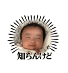 うさハルスタンプ（個別スタンプ：29）