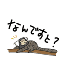 素の動物たち 5（個別スタンプ：20）