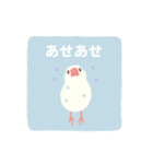 やさしい文鳥スタンプ（個別スタンプ：4）