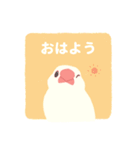 やさしい文鳥スタンプ（個別スタンプ：11）