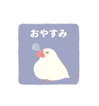 やさしい文鳥スタンプ（個別スタンプ：12）