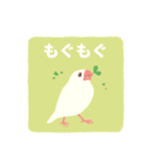 やさしい文鳥スタンプ（個別スタンプ：13）