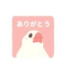 やさしい文鳥スタンプ（個別スタンプ：15）