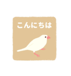 やさしい文鳥スタンプ（個別スタンプ：17）