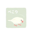 やさしい文鳥スタンプ（個別スタンプ：21）