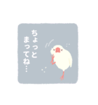 やさしい文鳥スタンプ（個別スタンプ：31）