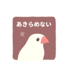 やさしい文鳥スタンプ（個別スタンプ：33）