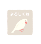 やさしい文鳥スタンプ（個別スタンプ：34）