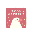 やさしい文鳥スタンプ（個別スタンプ：37）