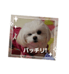 LUNA＆SEAイロイロ人生！！（個別スタンプ：3）