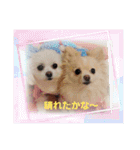LUNA＆SEAイロイロ人生！！（個別スタンプ：5）