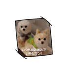 LUNA＆SEAイロイロ人生！！（個別スタンプ：8）
