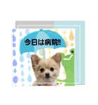LUNA＆SEAイロイロ人生！！（個別スタンプ：10）