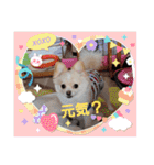 LUNA＆SEAイロイロ人生！！（個別スタンプ：12）