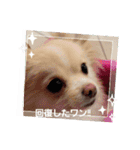 LUNA＆SEAイロイロ人生！！（個別スタンプ：13）