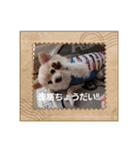 LUNA＆SEAイロイロ人生！！（個別スタンプ：14）
