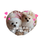 LUNA＆SEAイロイロ人生！！（個別スタンプ：15）
