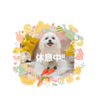 LUNA＆SEAイロイロ人生！！（個別スタンプ：17）