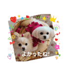 LUNA＆SEAイロイロ人生！！（個別スタンプ：18）