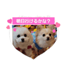 LUNA＆SEAイロイロ人生！！（個別スタンプ：22）