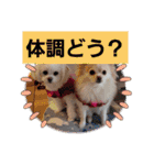 LUNA＆SEAイロイロ人生！！（個別スタンプ：23）