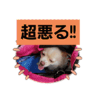 LUNA＆SEAイロイロ人生！！（個別スタンプ：24）