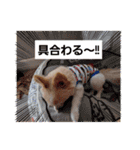 LUNA＆SEAイロイロ人生！！（個別スタンプ：25）