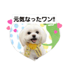 LUNA＆SEAイロイロ人生！！（個別スタンプ：26）