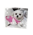 LUNA＆SEAイロイロ人生！！（個別スタンプ：29）